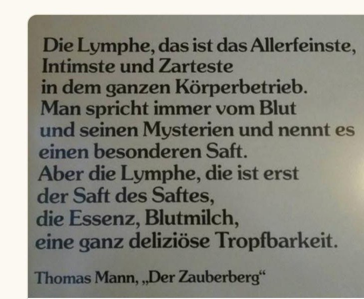 Originalni citat na nemačkom - Thomas Mann, Der Zauberberg